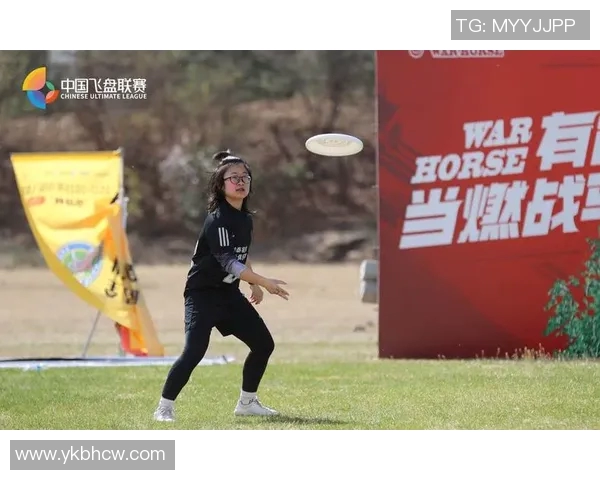 北京飞盘队运营分析：成功经验与面临挑战的全面探讨